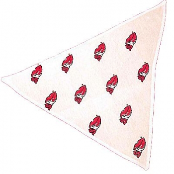 bandana7
