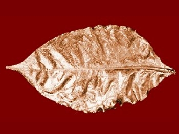 liquido-sigaretta-elettronica-etichetta-rossa
