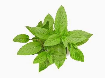 liquido-sigaretta-elettronica-flavourart-mentolo