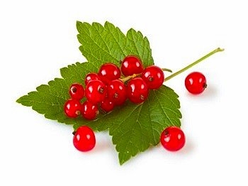 liquido-sigaretta-elettronica-ribes