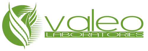 valeoLogo